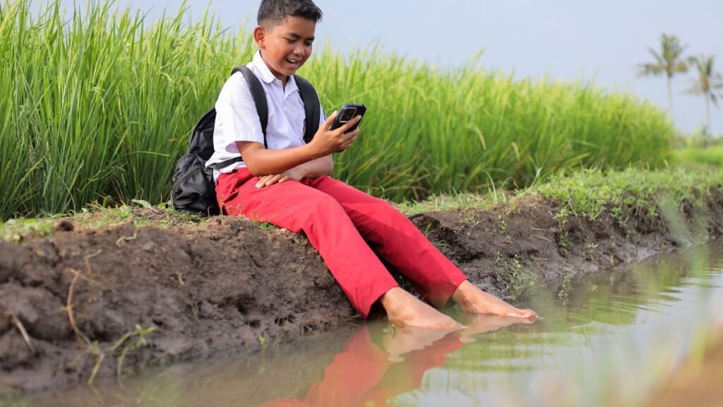 repetidor WiFi ou Mesh qual melhor 